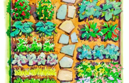 Vegetable Garden Layout Ideas for Beginners