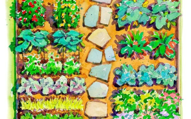vegetable garden layout for beginners