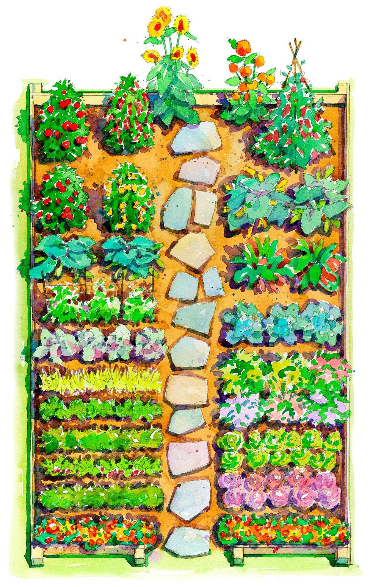 vegetable garden layout for beginners